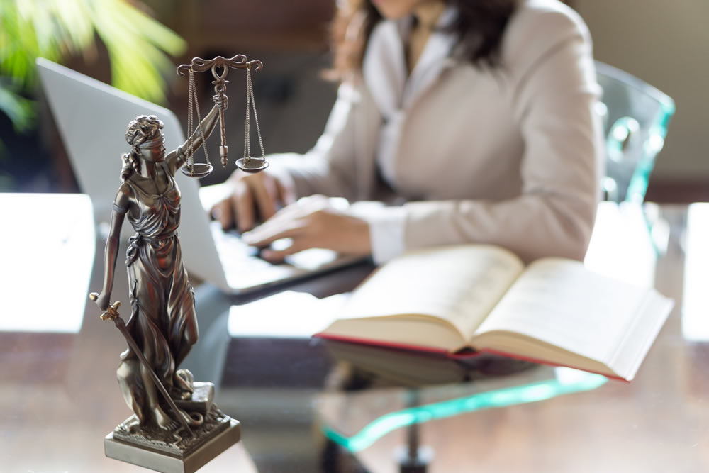 High Court Litigation Gauteng